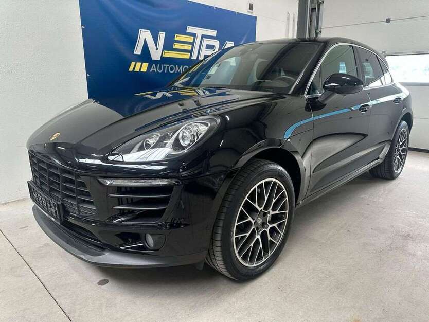 Macan