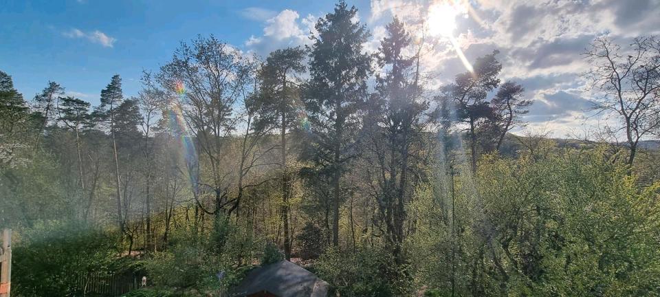 Dachgeschoßwohnung Wiesbaden Dotzheim - 4 Zimmer, 114 m&sup2;, 1.690&euro; | Angebot:24992228