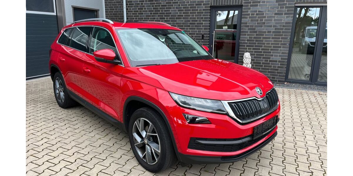 Skoda Kodiaq 195.200 km 16.779 &euro; Neuenhaus 49828