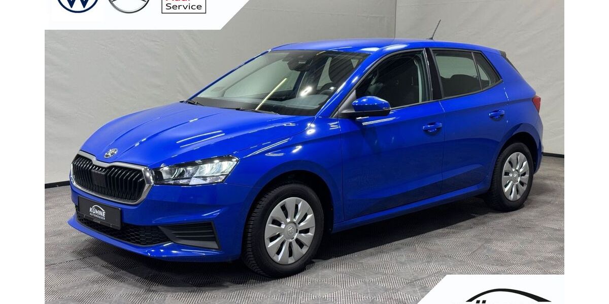 Skoda Fabia 28.564 km 14.120 &euro; Torgau 04860