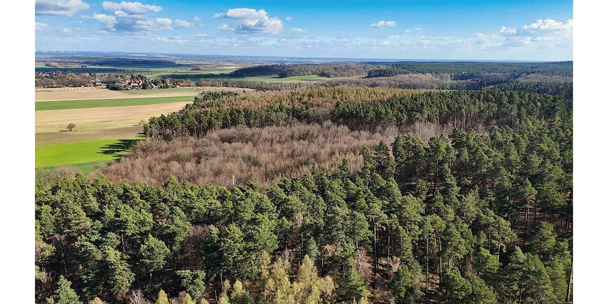 Grundstück Gardelegen Zichtau - 98.000&euro; | Angebot:26246289