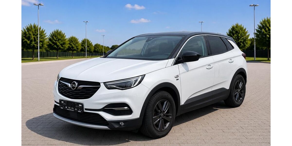 Opel Grandland (X) 87.000 km 11.940 &euro; Lollar ( bei Gießen ) 35457