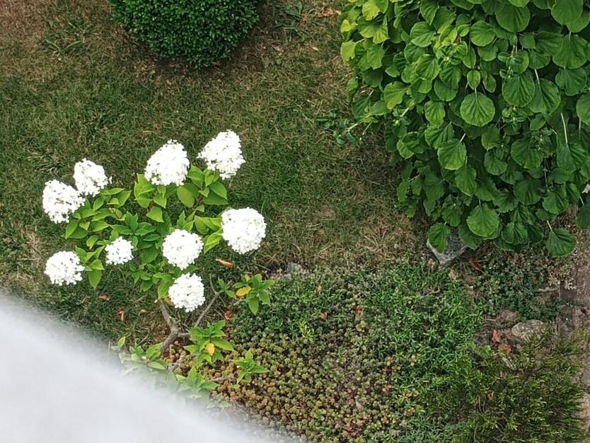 Ruhige, Charmantes Einfamilienhaus zu vermieten in Nörten zimmer