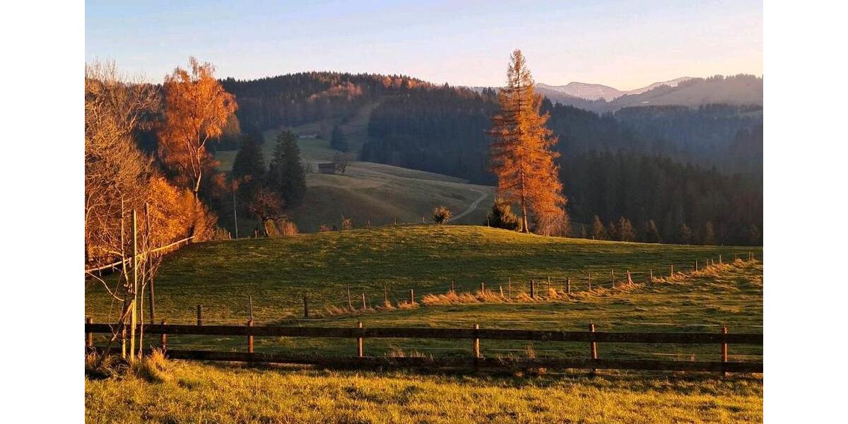 Etagenwohnung Stiefenhofen - 3 Zimmer, 100 m&sup2;, 1.000&euro; | Angebot:25992253