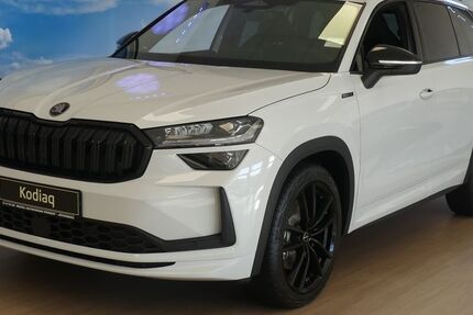 Skoda Kodiaq 1.250 km 54.990 &euro; Jüterbog 14913