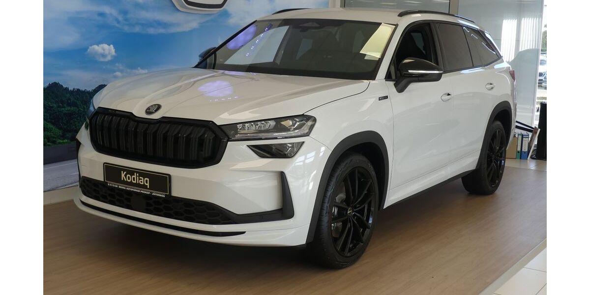 Skoda Kodiaq 1.250 km 54.990 &euro; Jüterbog 14913