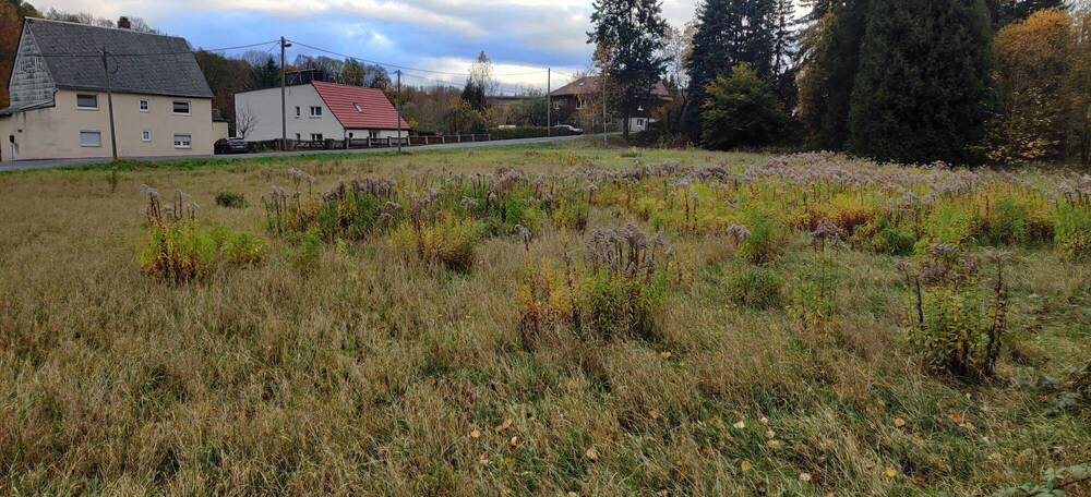 Grundstück Flöha Falkenau - 47.700&euro; | Angebot:25707442