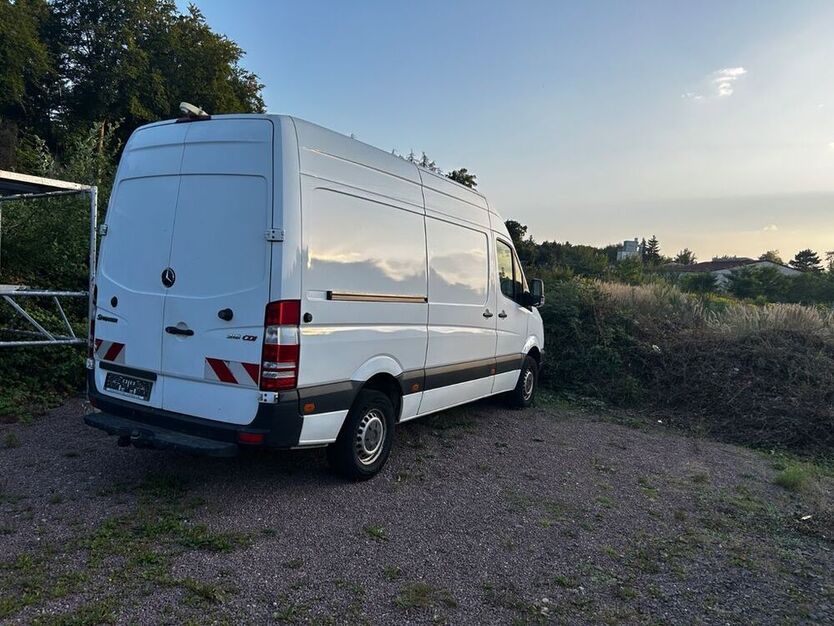 Sprinter