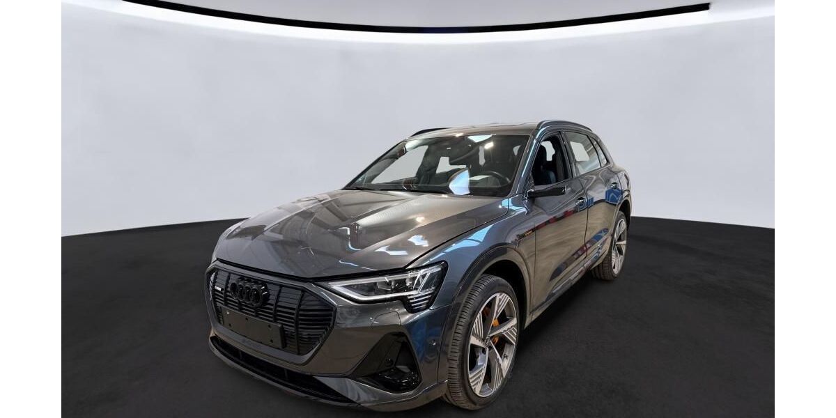 Audi e-tron 42.382 km 38.290 &euro; Hagen 58091