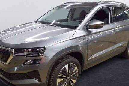 Skoda Karoq 29.400 km 32.449 &euro; Mühlheim am Main 63165