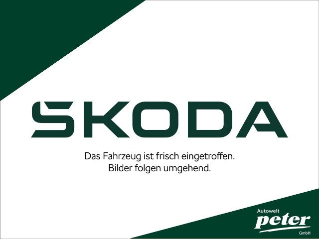 Skoda Kodiaq 28.450 km 44.950 &euro; Nordhausen 99734