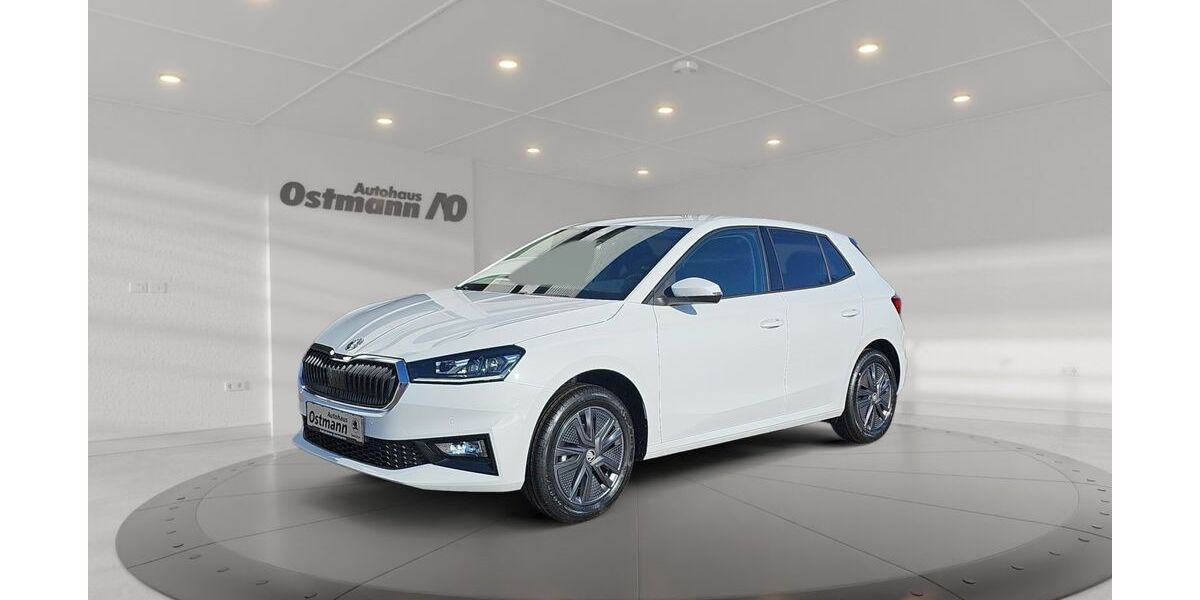 Skoda Fabia 3.000 km 22.880 &euro; Bad Arolsen 34454