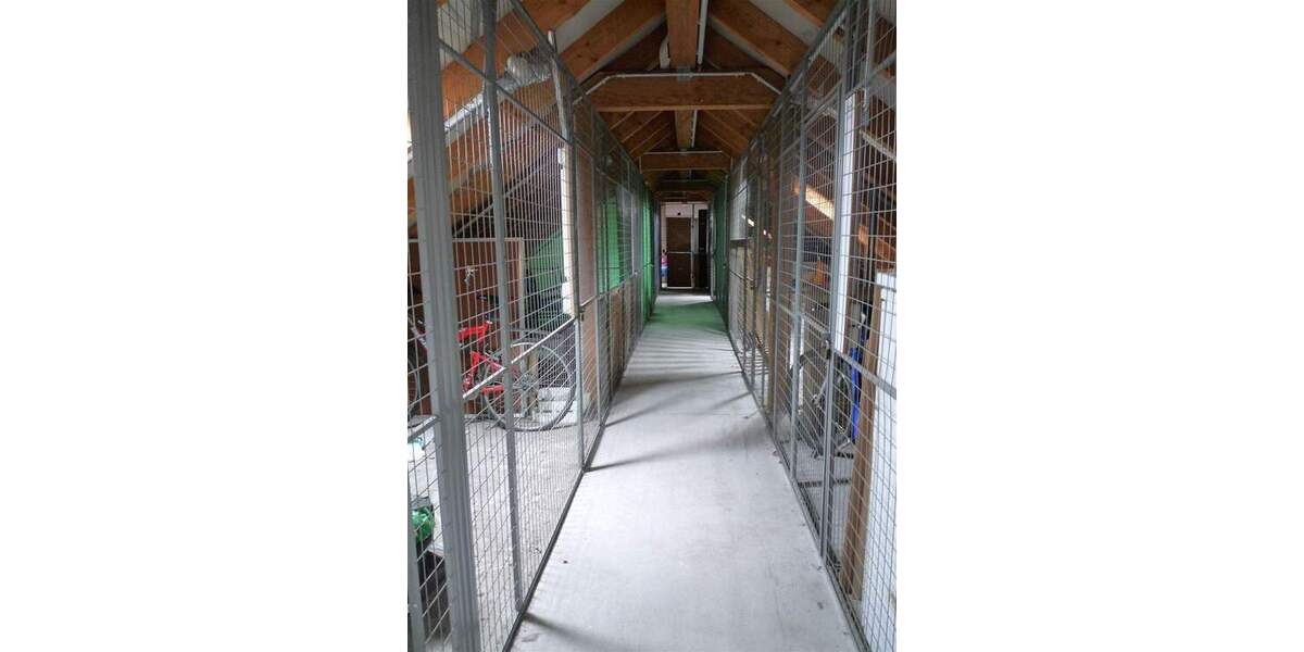 FÜR SINGLES ODER PÄRCHEN - Süße 2-Zimmer-Wohnung in 16727 Velten 2 zimmer