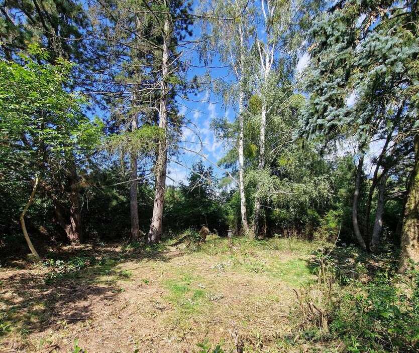 GRUNDSTÜCK - RUHIGE LAGE VON PETERSHAGENEGGERSDORF...... zimmer