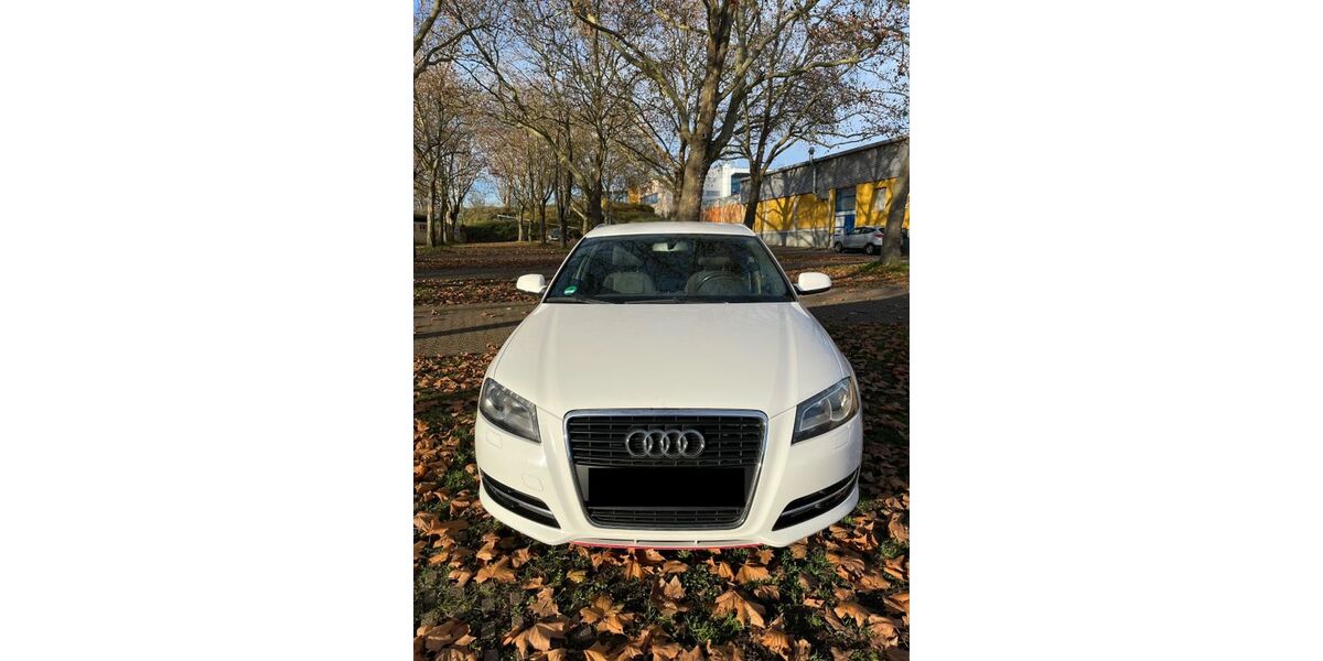 Audi A3 165.000 km 7.999 &euro; Dillingen 66763
