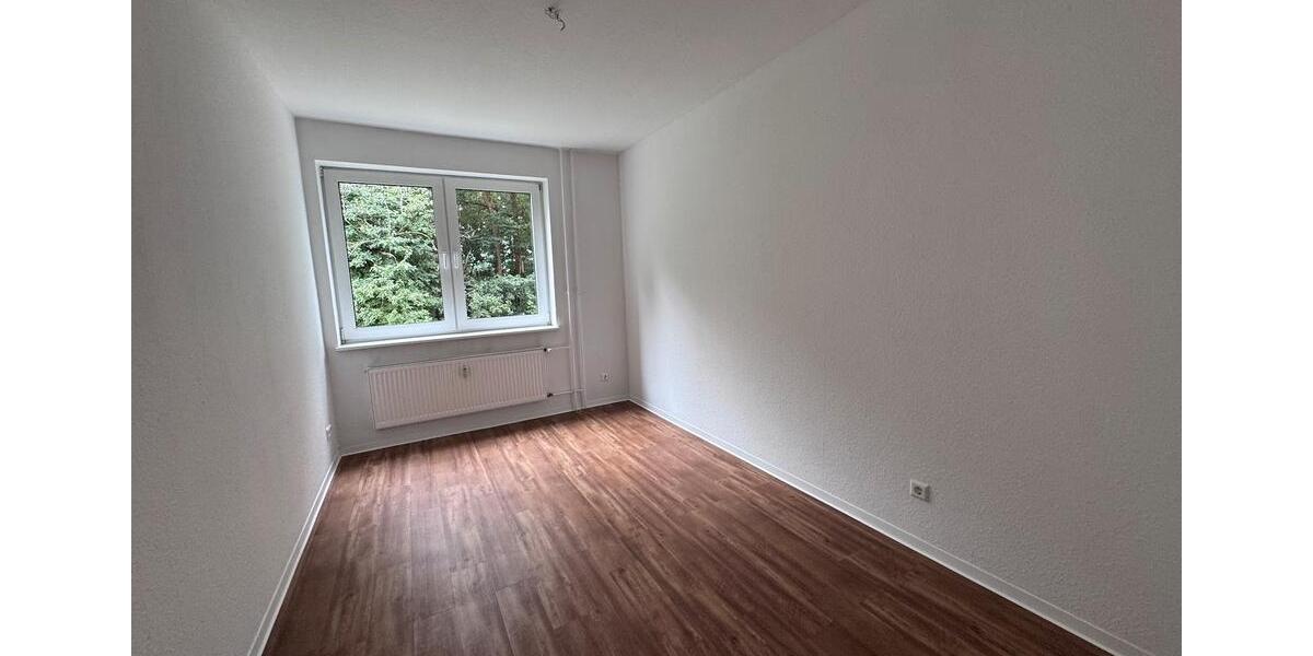 Erdgeschoßwohnung Kalefeld - 4 Zimmer, 91 m&sup2;, 635&euro; | Angebot:26422297