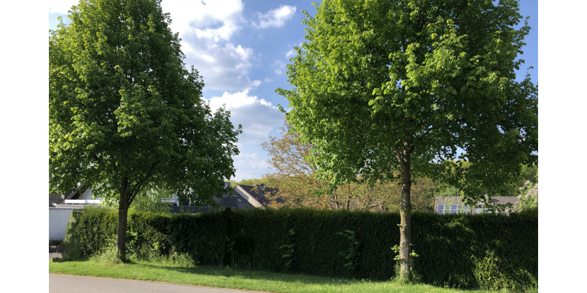 Grundstück Brüggen - 249.000&euro; | Angebot:24822886