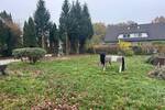 Grundstück Hoisdorf - 230.000&euro; | Angebot:25726746