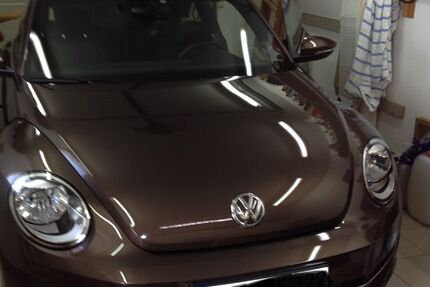 VW Beetle