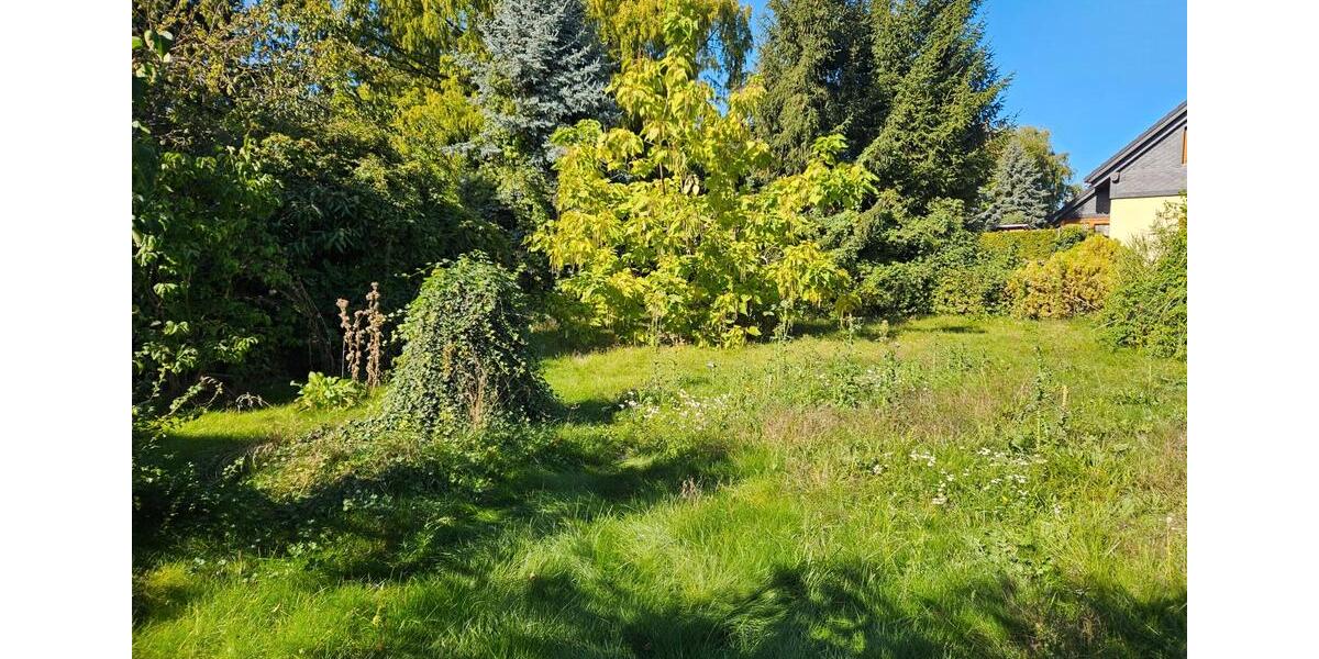 Einfamilienhaus Möckern - 5 Zimmer, 170 m&sup2;, 192.999&euro; | Angebot:26704268