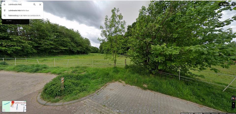 Baugrundstücke in Top Lage (Melle Buer)