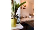 Etagenwohnung Bindlach - 1 Zimmer, 32 m&sup2;, 84.000&euro; | Angebot:23529983
