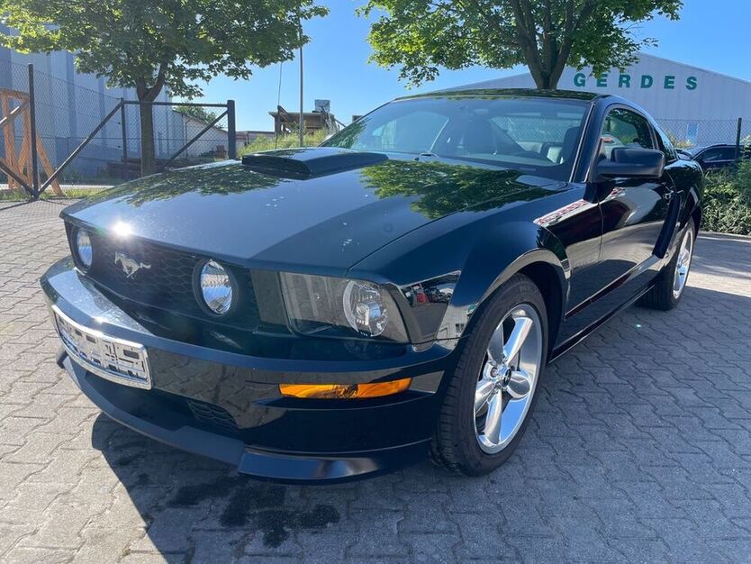 Mustang