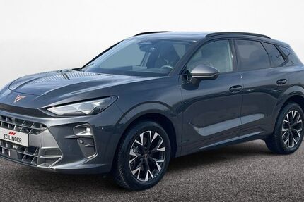 Cupra Terramar 1.260 km 39.945 &euro; Dietersheim 91463