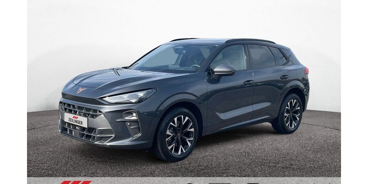 Cupra Terramar 1.260 km 39.945 &euro; Dietersheim 91463