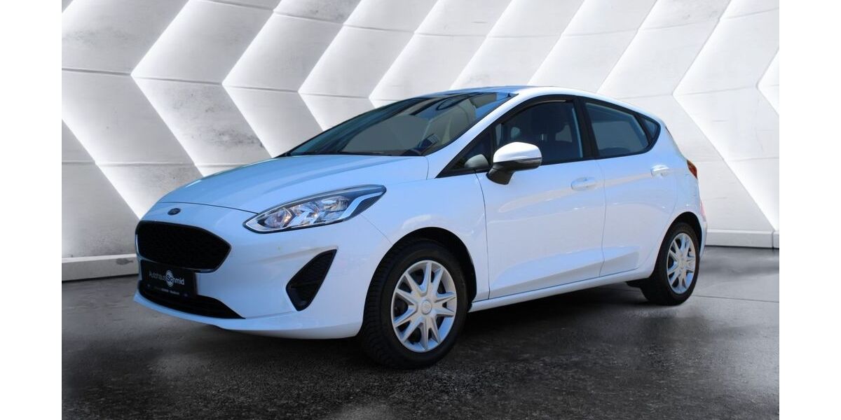 Ford Fiesta 69.900 km 9.900 &euro; Waldkirch 79183