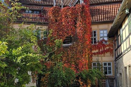 Wunderschöne 3-Zimmer-Wohnung im Herzen von Bad Langensalza 3 zimmer