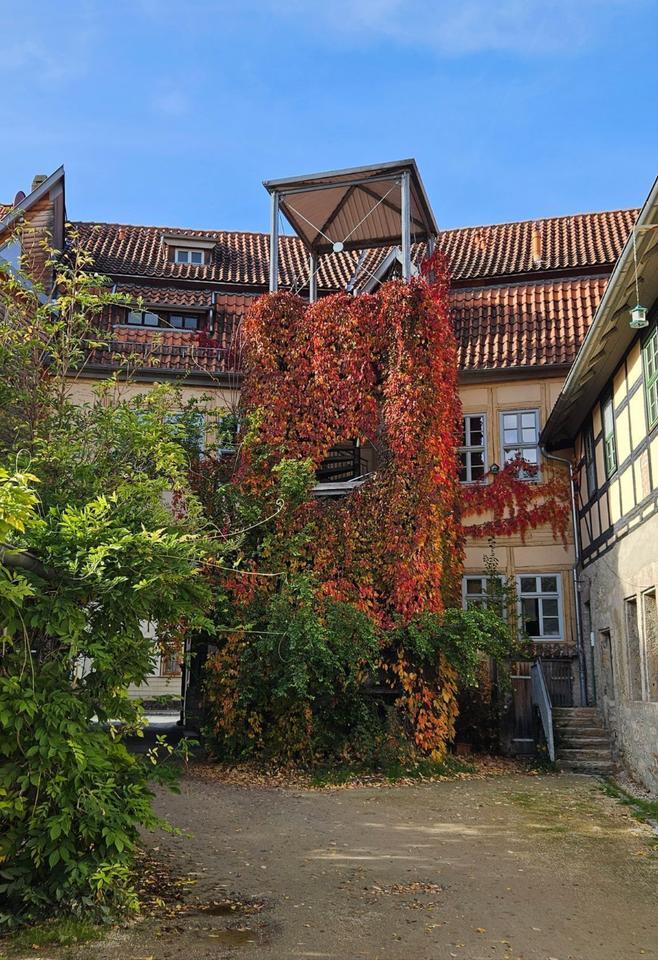Wunderschöne 3-Zimmer-Wohnung im Herzen von Bad Langensalza zimmer