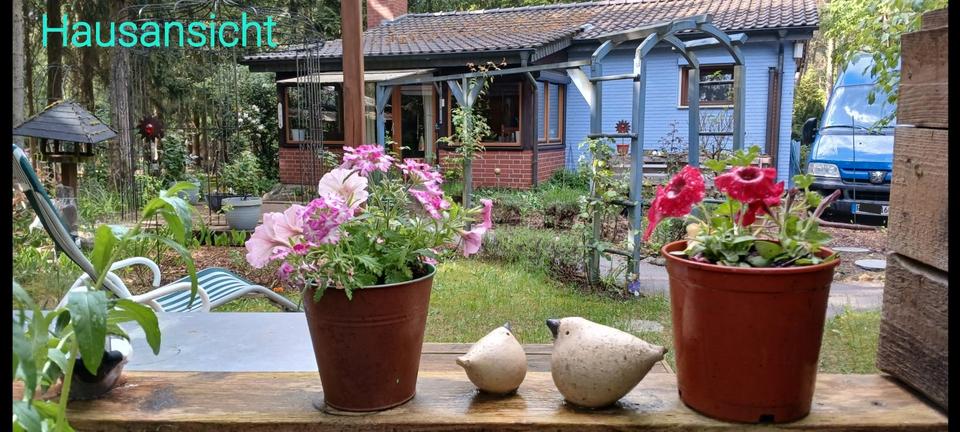 Einfamilienhaus Jelmstorf - 166.666&euro; | Angebot:26505366