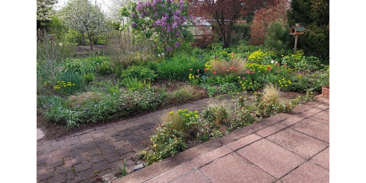 Kleines Häuschen im Grünen 2 zimmer