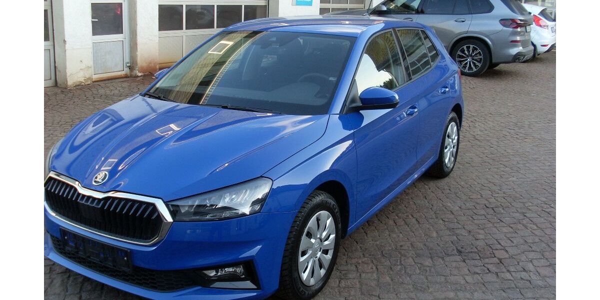 Skoda Fabia 31.700 km 14.990 &euro; Waldheim 04736