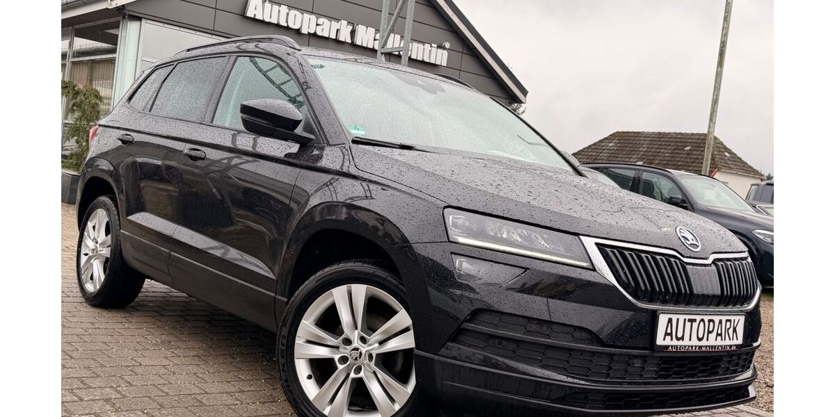 Skoda Karoq 149.800 km 14.800 &euro; Stepenitztal 23936