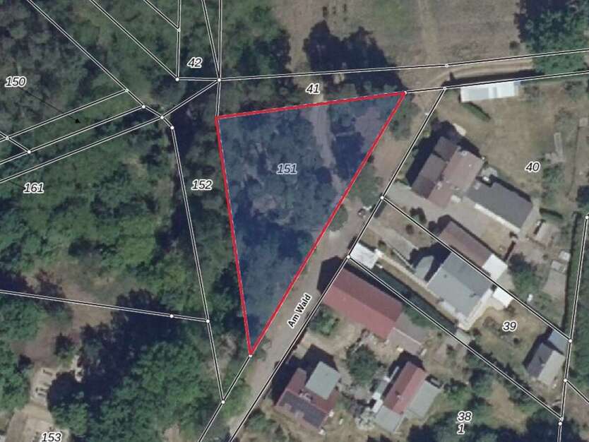 Grundstück in Forst 15.000 € 1611 m² zimmer