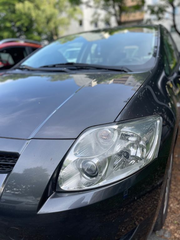Auris