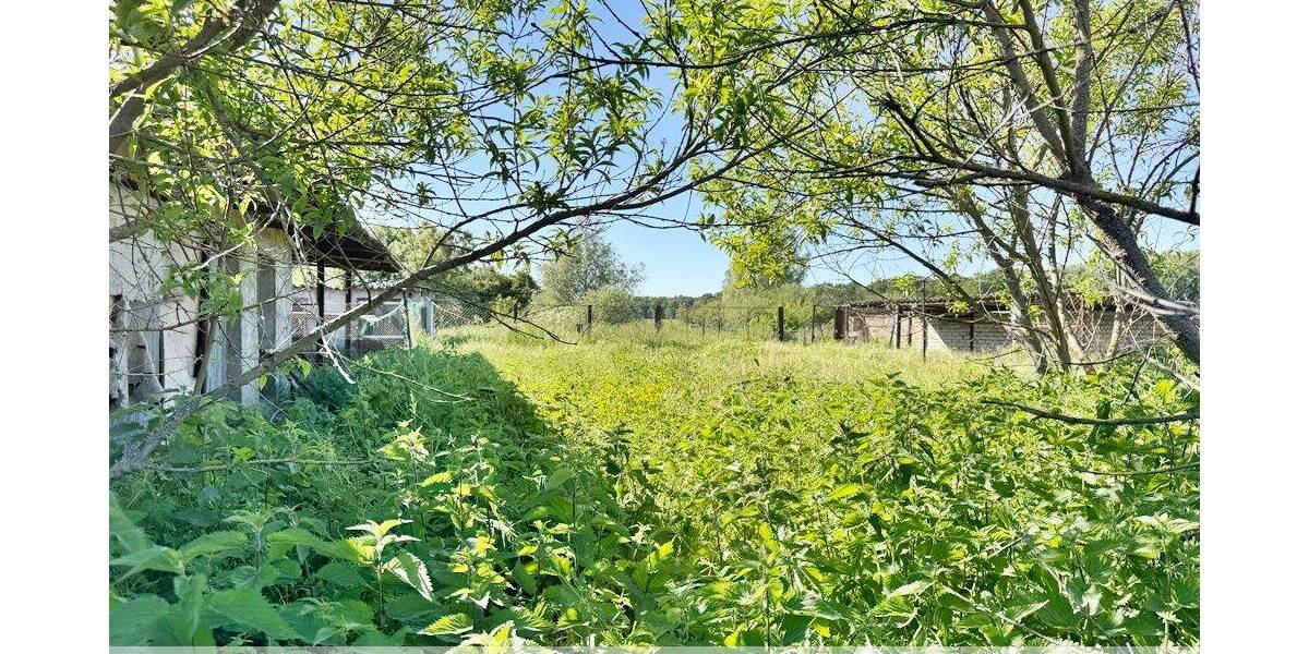 Einfamilienhaus Kremmen / Amalienfelde Kremmen - 3 Zimmer, 90 m&sup2;, 245.000&euro; | Angebot:26816696