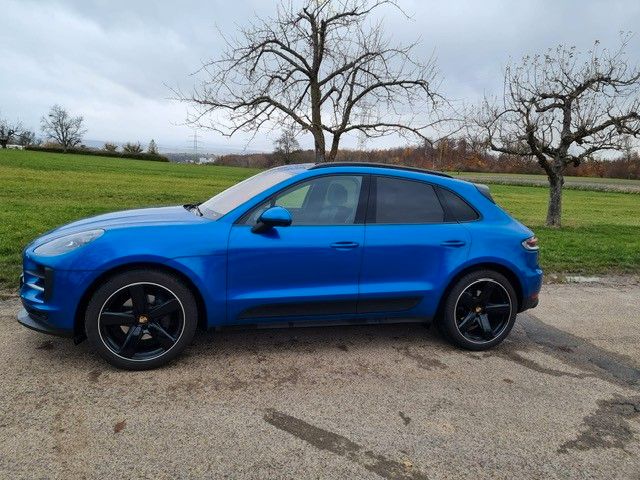Macan