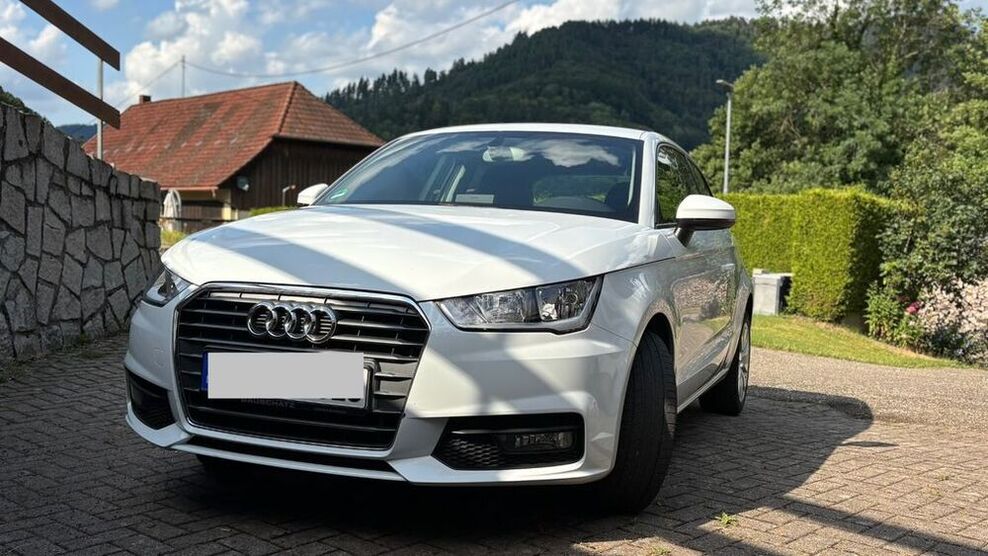 A1