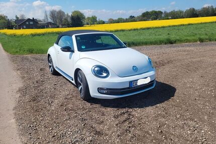 VW Beetle