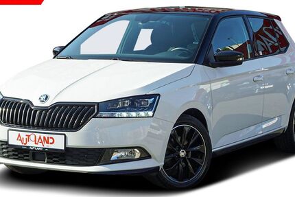 Skoda Fabia 53.605 km 16.990 &euro; Dresden 01069