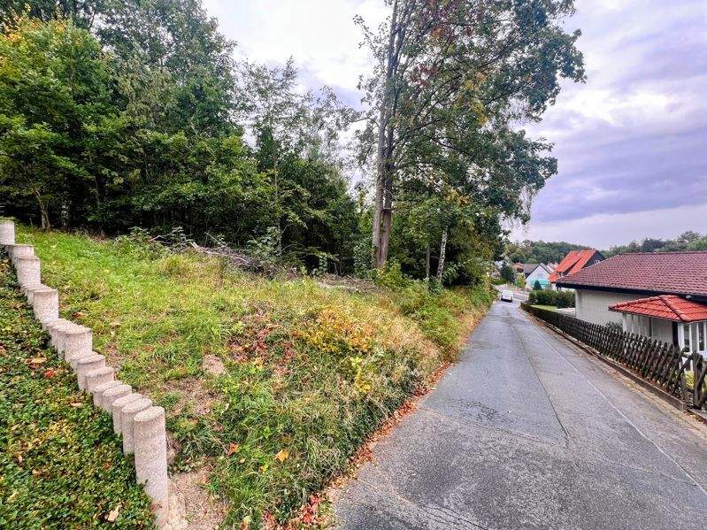 Grundstück Wolfshagen Wolfshagen im Harz - 70.000&euro; | Angebot:24286131