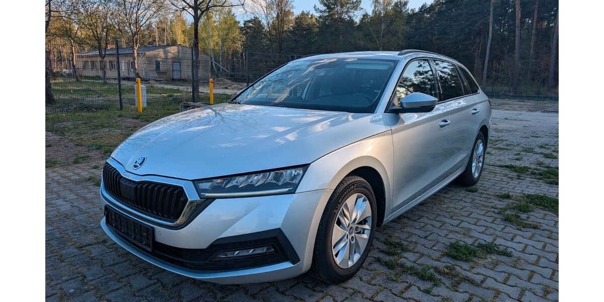 Skoda Octavia 196.727 km 12.999 &euro; Werder Havel 14542