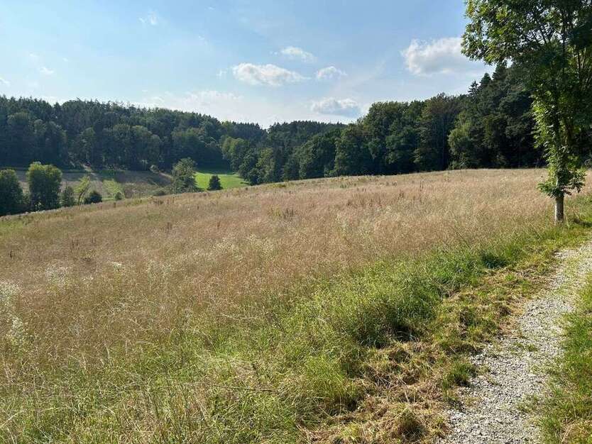 Grundstück in Moosthenning 236.000 € 14750 m²