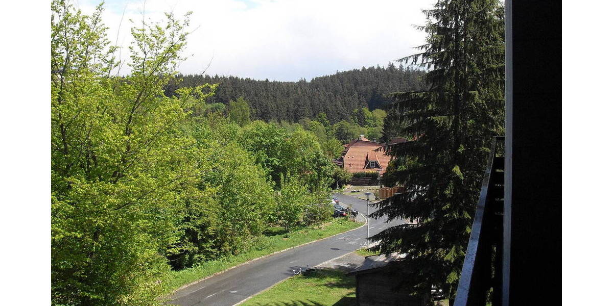 Etagenwohnung Braunlage - 1 Zimmer, 40 m&sup2;, 49.000&euro; | Angebot:26204026