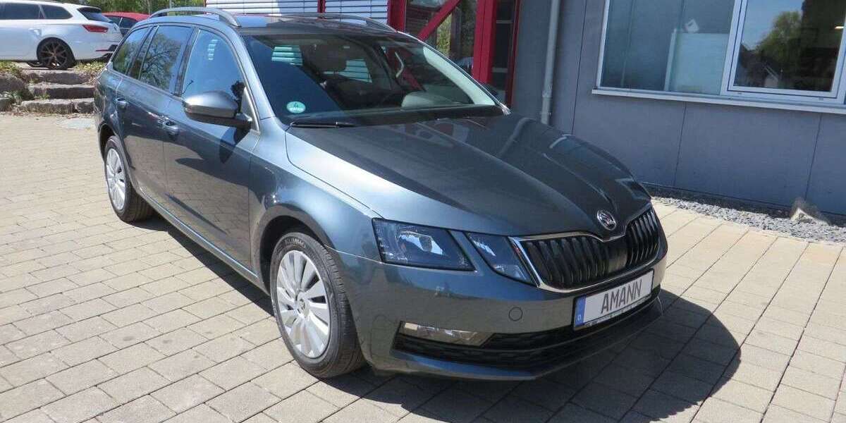 Skoda Octavia 160.130 km 14.000 &euro; Wald 88639