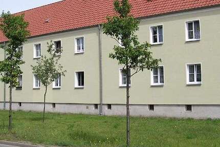 Wohnung Brandenburg an der Havel Görden - 2 Zimmer, 42 m&sup2;, 358&euro; | Angebot:27082963