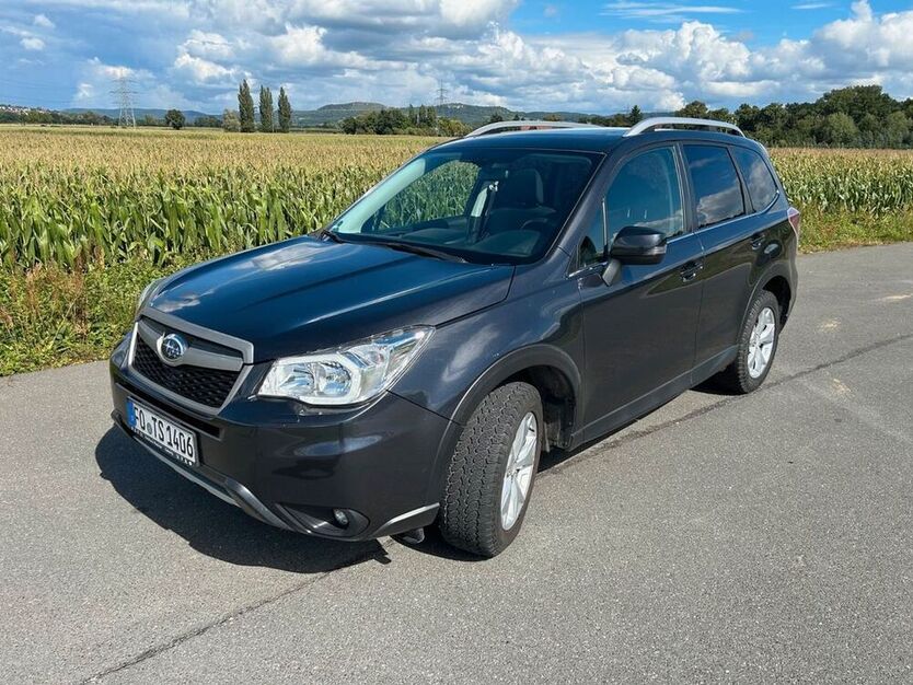 Forester